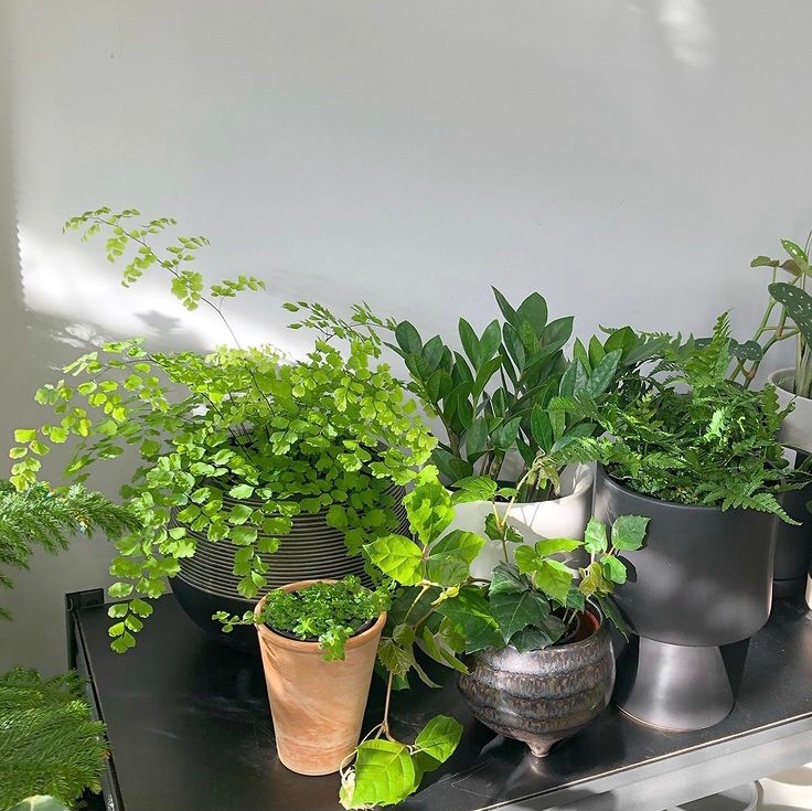 Pots and Accessories // Toronto Plant Delivery Page 3 In Bloom Flower Shop