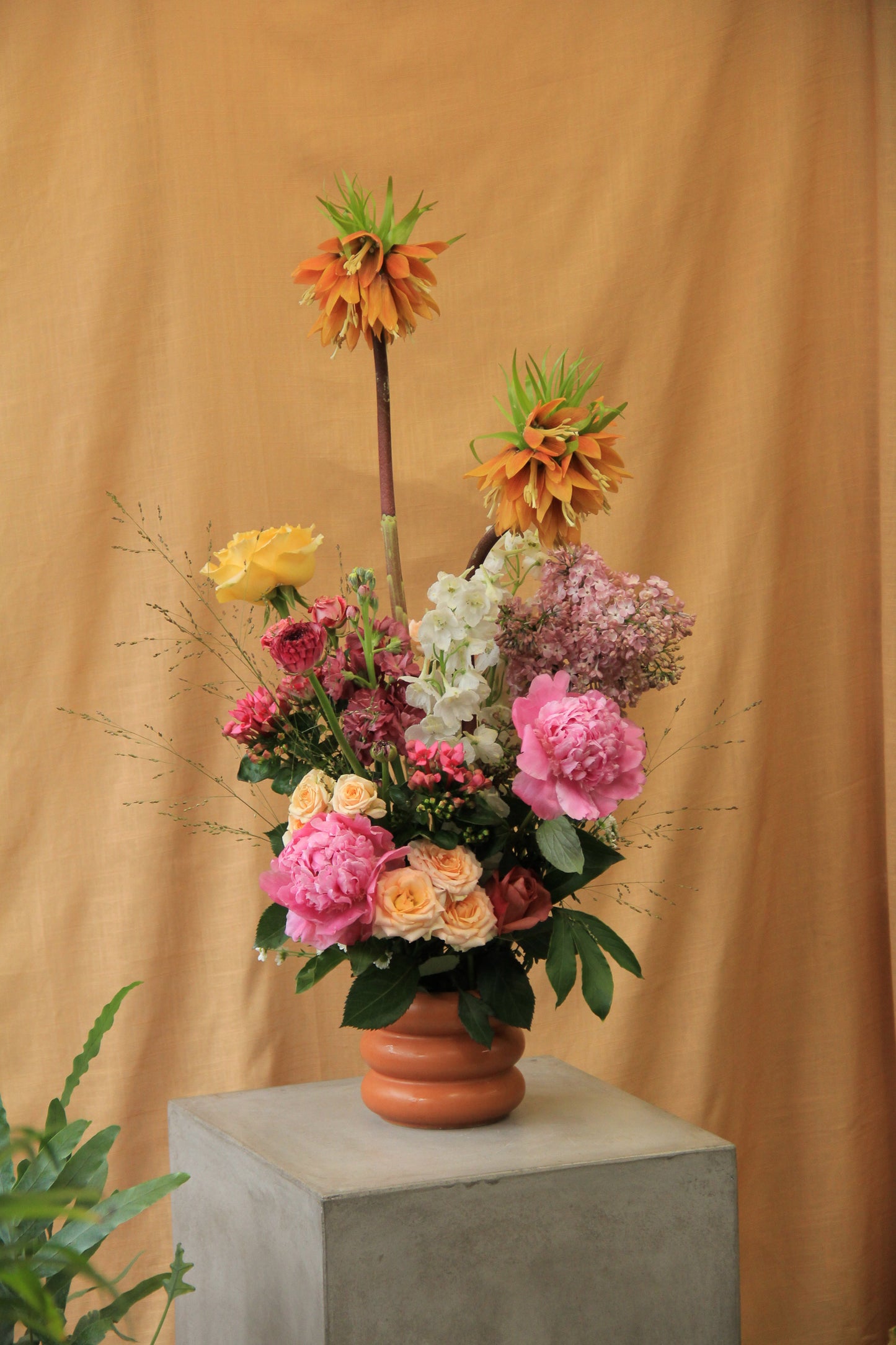 Froot Arrangement