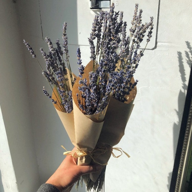 Dried Lavender Bundle