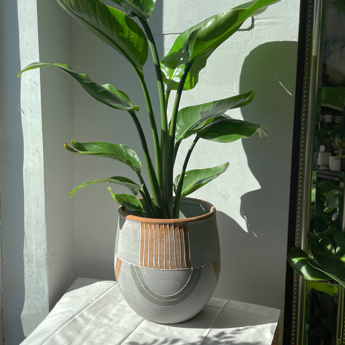 7" Restoration Pot