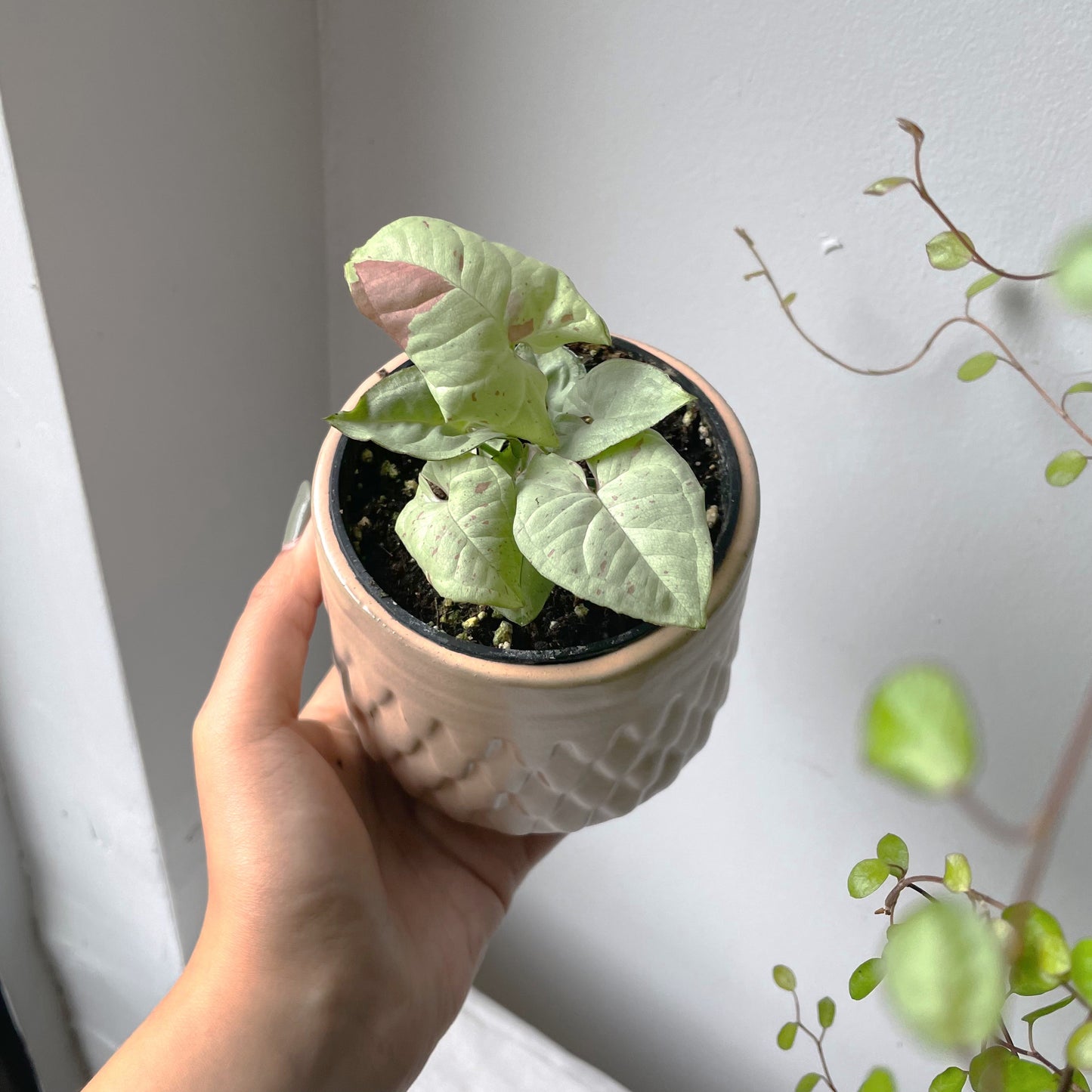4" Mermaid Pot