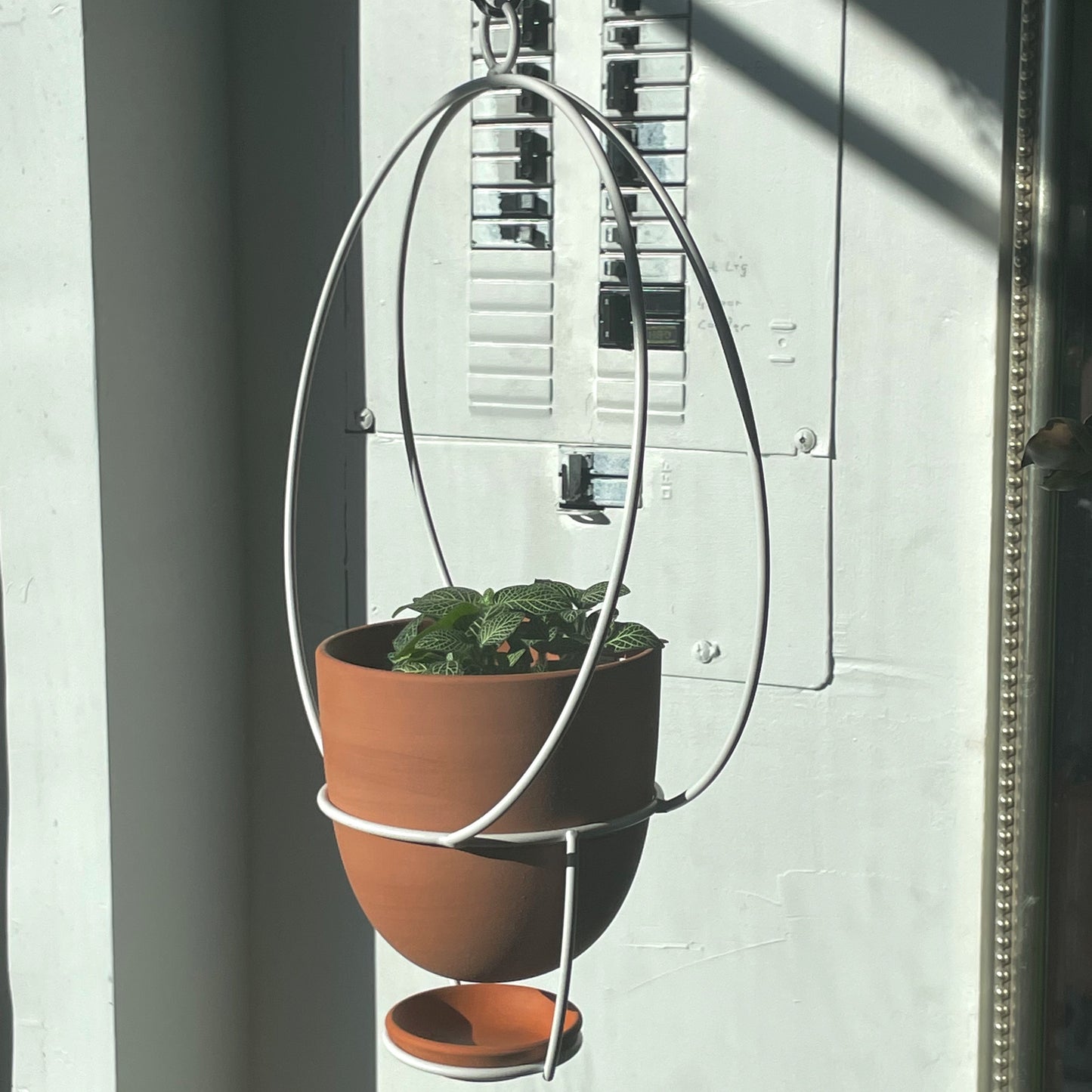 Jansen Hanging Planter