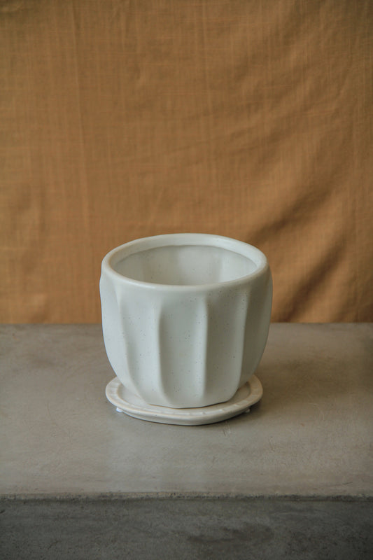 4.75" Draken Pot with drainage + saucer