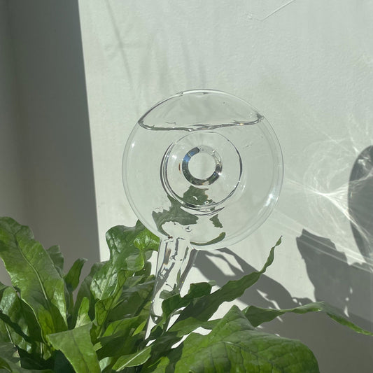 Glass watering spike for houseplants, Toronto plant delivery